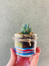 Load image into Gallery viewer, DIY USA Succulent Plant Kit
